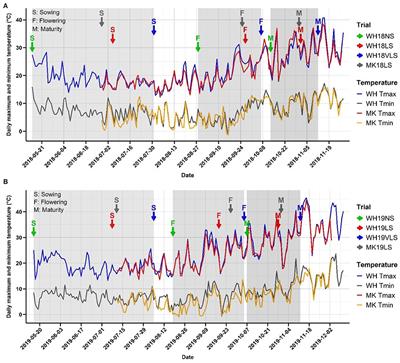 Grain-Filling Rate Improves Physical Grain Quality in Barley Under Heat Stress Conditions During the Grain-Filling Period